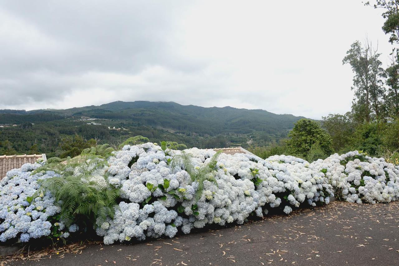 Hotel Quinta Da Cova Do Milho Santo Antonio da Serra Zewnętrze zdjęcie
